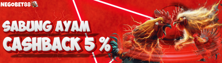 BONUS CASHBACK SABUNG AYAM