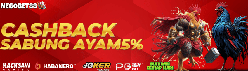 BONUS CASHBACK SABUNG AYAM